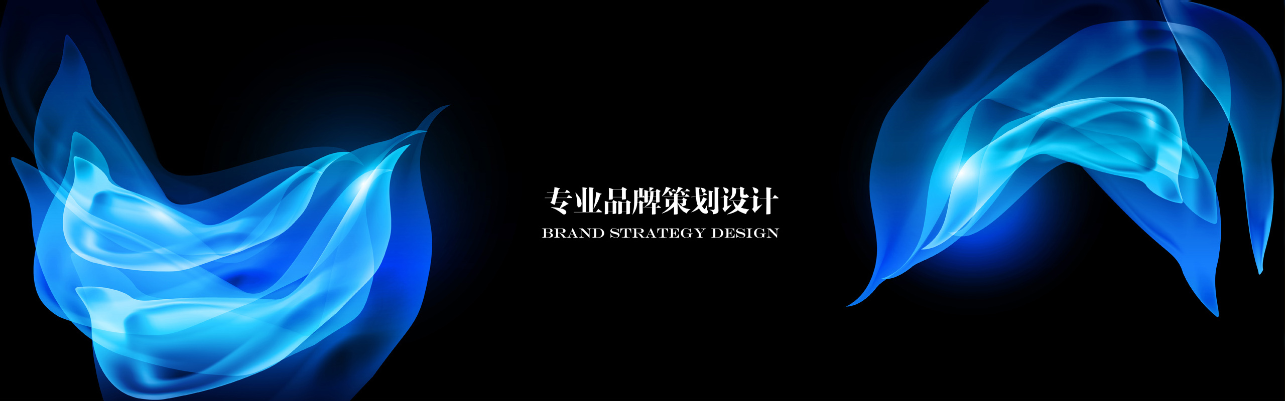 专业品牌策划设计
